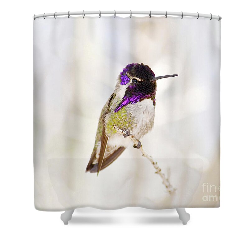Hummingbird Shower Curtain featuring the photograph Hummingbird by Rebecca Margraf