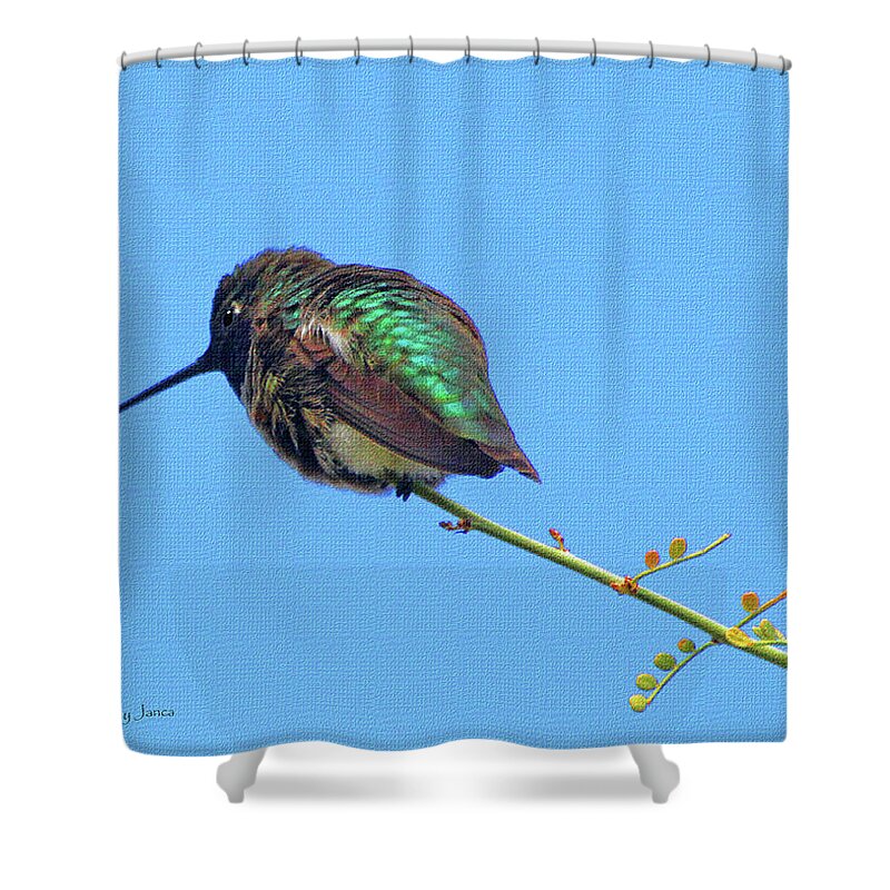 Hummingbird Resting Shower Curtain featuring the photograph Hummingbird Resting by Tom Janca
