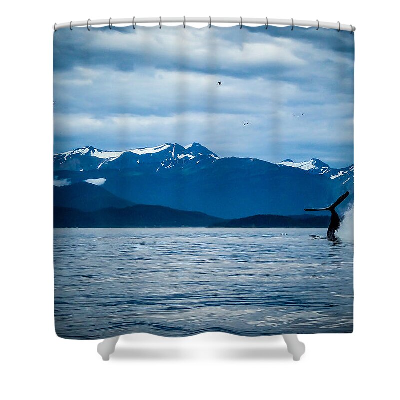Alaska Shower Curtain featuring the photograph Humpback Dive by Pamela Newcomb