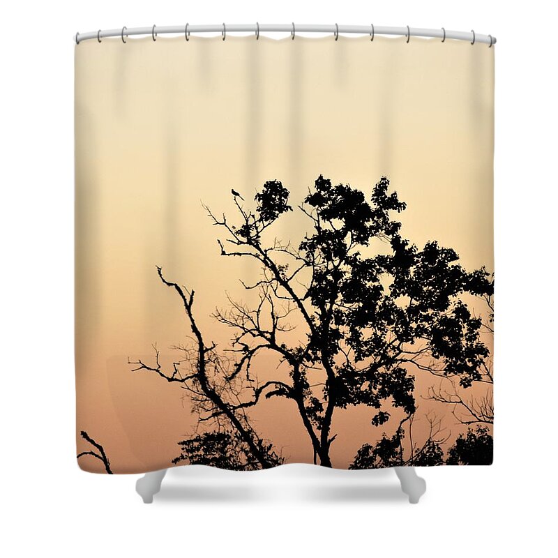 Morning Shower Curtain featuring the photograph Hush Little Baby by John Glass
