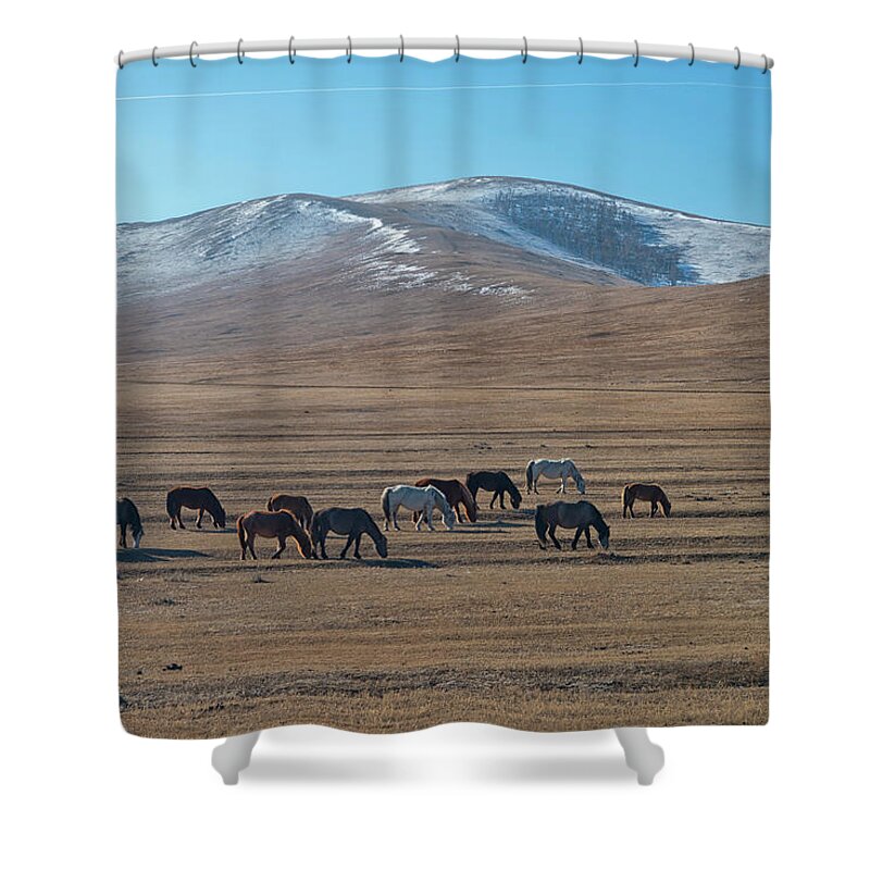 Wild Horses Shower Curtain featuring the photograph Hustai National Park, Mongolia by Ivan Batinic