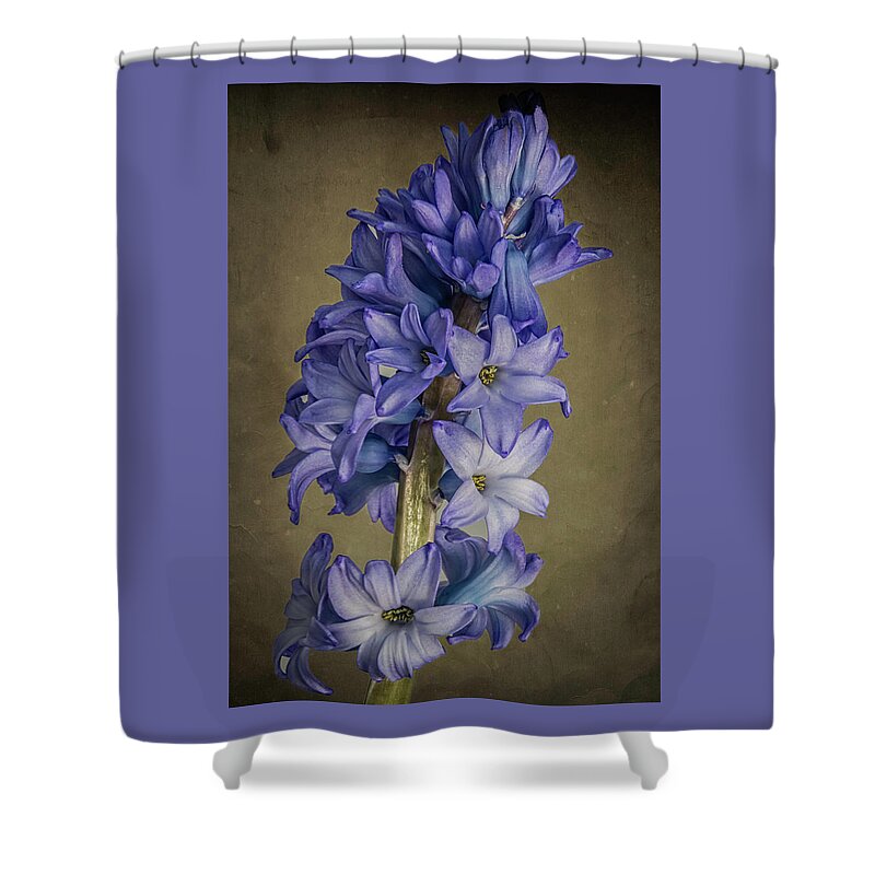 Flowers Shower Curtain featuring the photograph Hyacinth by John Roach