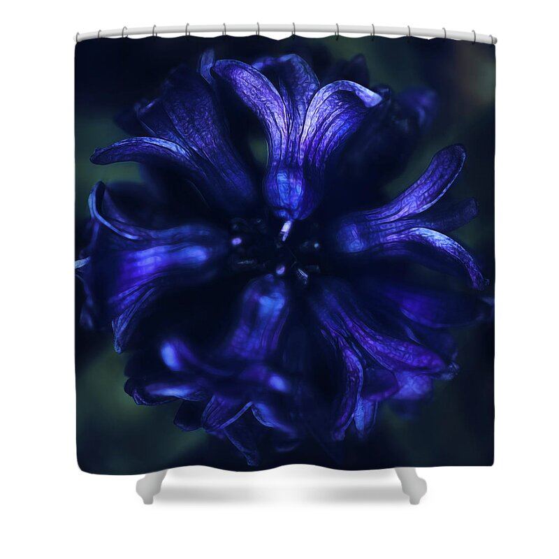 Bloom Shower Curtain featuring the photograph Hyacinth by Robert FERD Frank