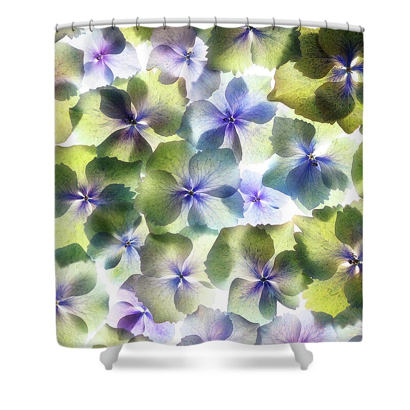 Hydrangea Shower Curtain featuring the photograph Hydrangae Squared by Rebecca Cozart