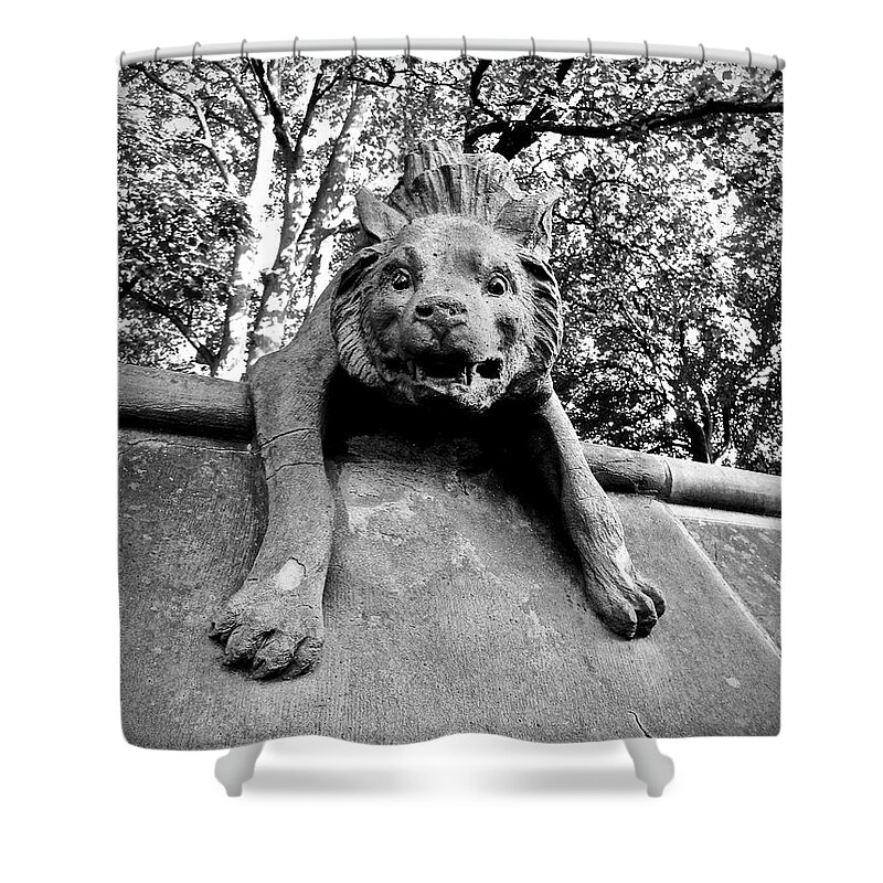 Hyena Shower Curtain featuring the photograph Hyena on the Wall by Rachel Morrison