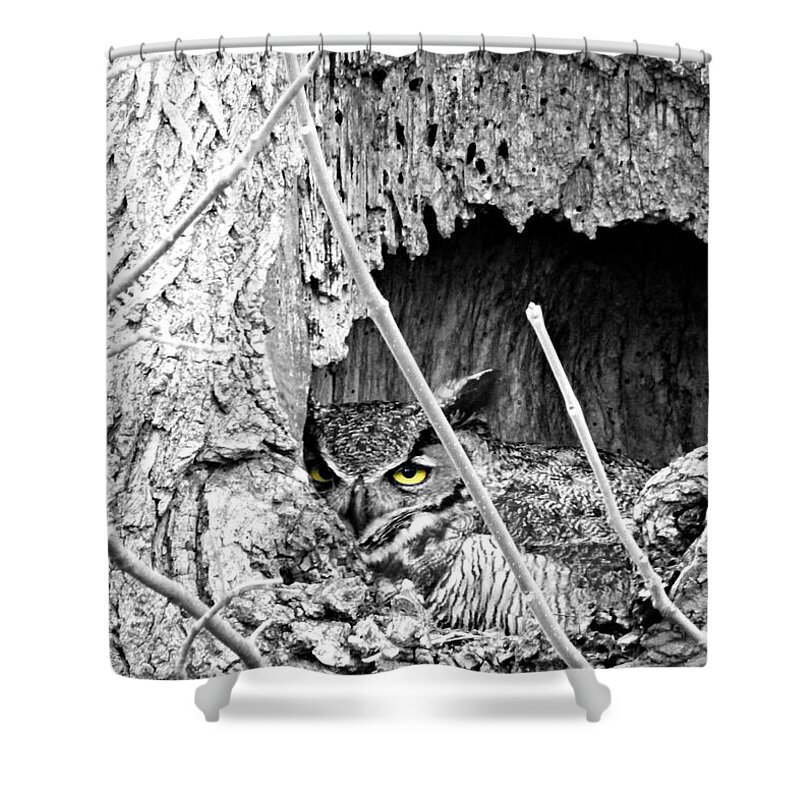 Hypnotic Shower Curtain featuring the photograph Hypnotic by Dark Whimsy