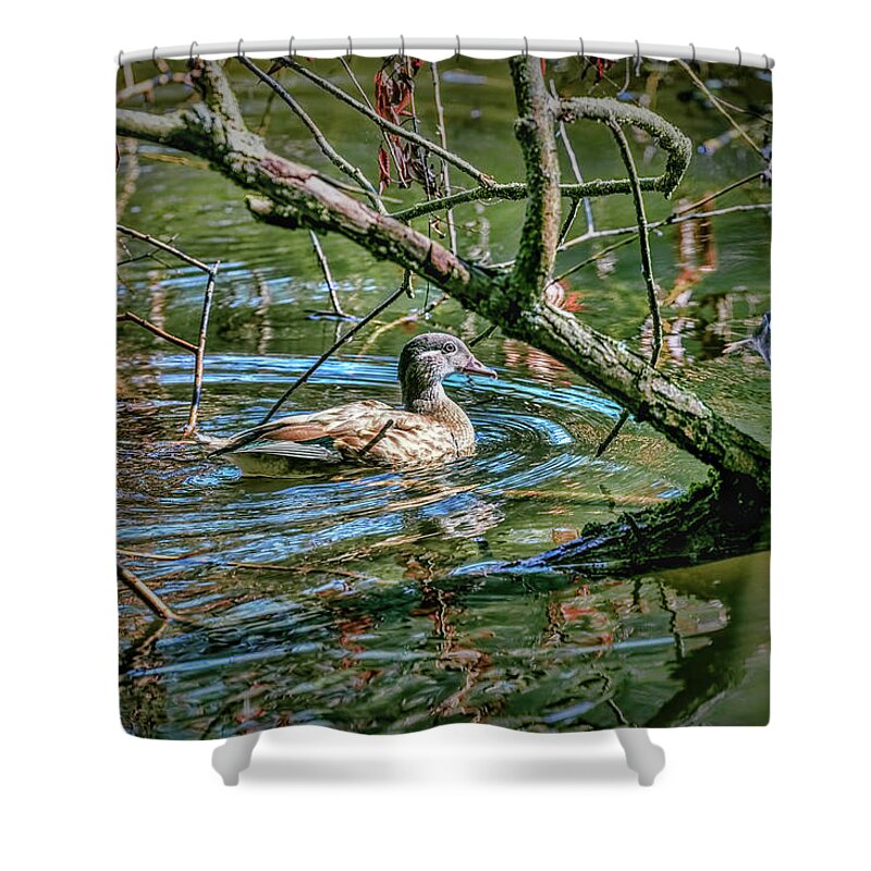 I Am Pritty Shower Curtain featuring the photograph I am pritty #h9 by Leif Sohlman