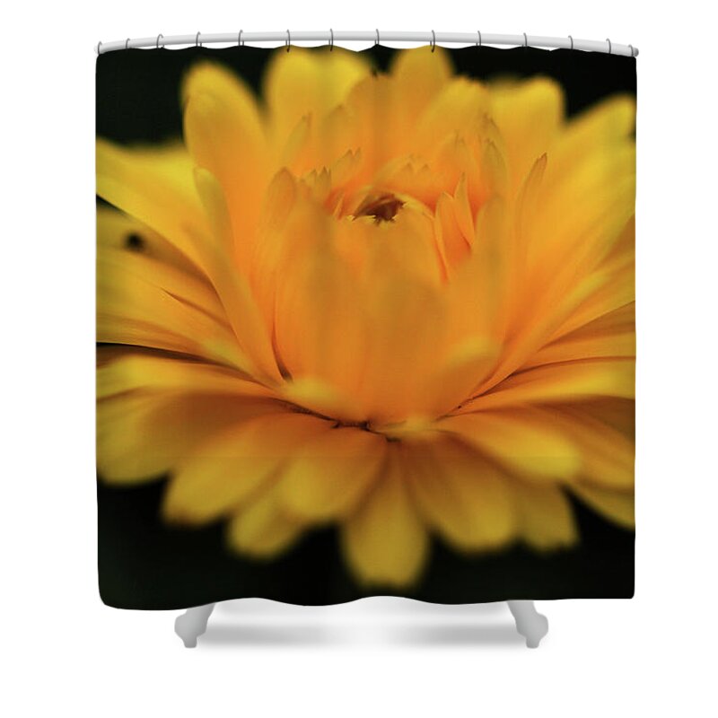 Abstract Flower Photography Shower Curtain featuring the photograph I feel Love by Juergen Roth