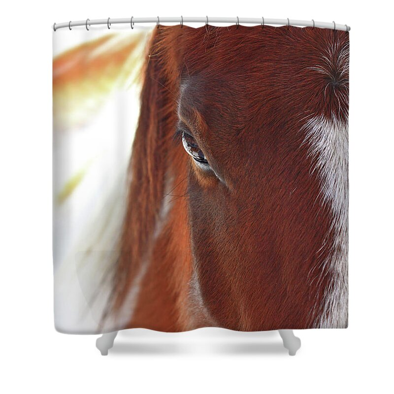 Animal Shower Curtain featuring the photograph I Got My Eyes On You by Evelina Kremsdorf