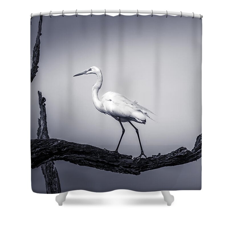 Cove Shower Curtain featuring the photograph I Live Here by Marvin Spates