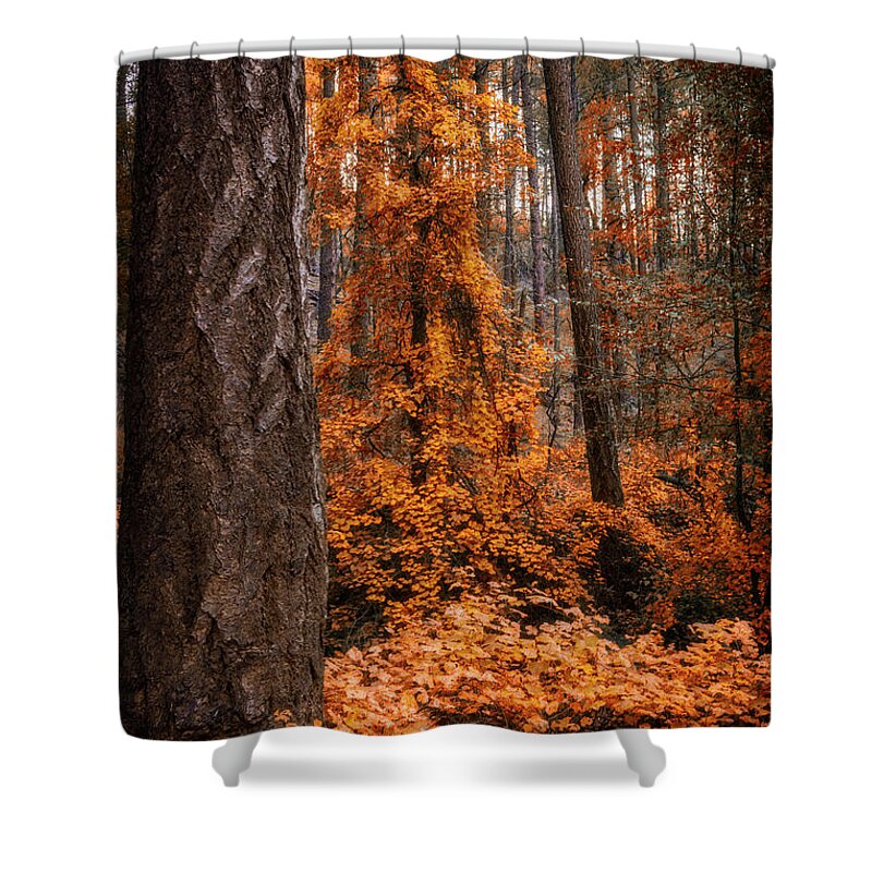 Fall Colors Shower Curtain featuring the photograph I Love Fall by Saija Lehtonen