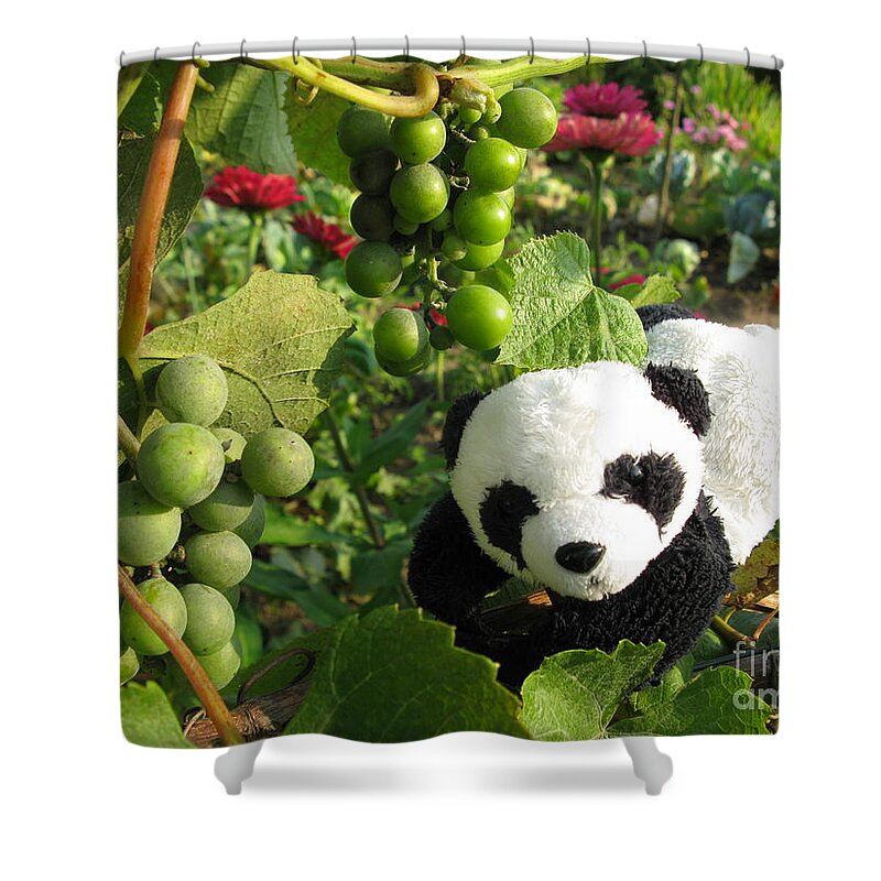 Baby Panda Shower Curtain featuring the photograph I love grapes B by Ausra Huntington nee Paulauskaite