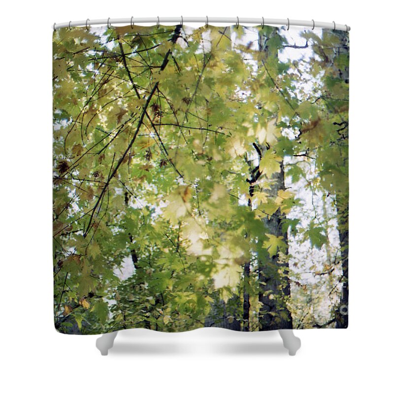 Green Shower Curtain featuring the photograph I Miss The Color Green by Ana V Ramirez