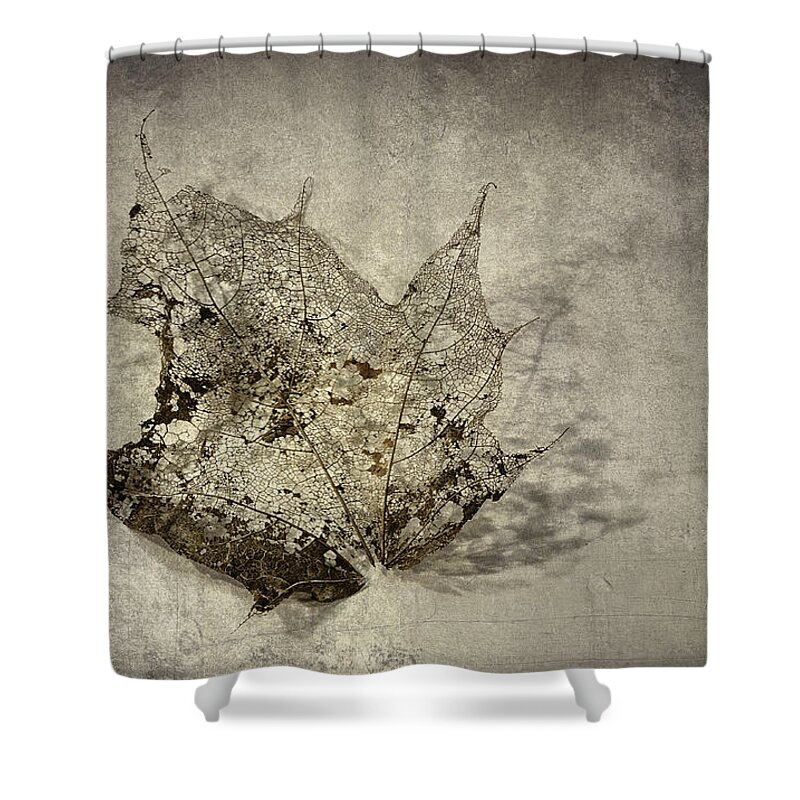 Autumn Leaf Shower Curtain featuring the photograph I Miss You Most of All by Scott Norris