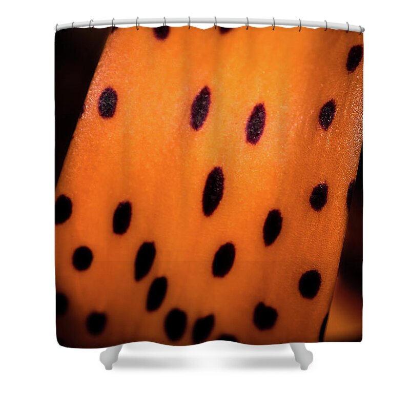 Jay Stockhaus Shower Curtain featuring the photograph I See Spots by Jay Stockhaus