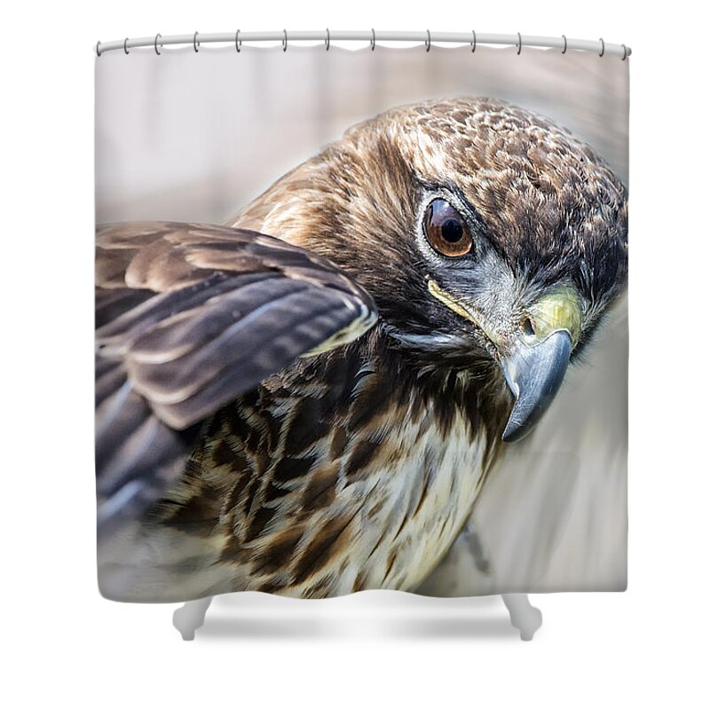 Crystal Yingling Shower Curtain featuring the photograph I See....I See... by Ghostwinds Photography