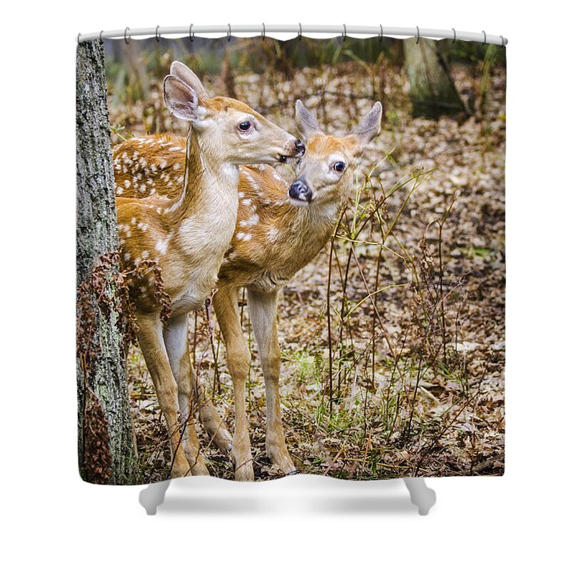 Fawns Shower Curtain featuring the photograph I Thought You Brought the GPS by Peg Runyan