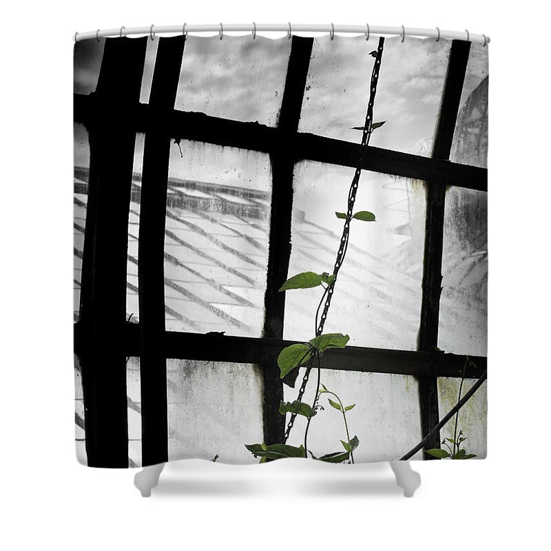Blumwurks Shower Curtain featuring the photograph I Will Climb by Matthew Blum
