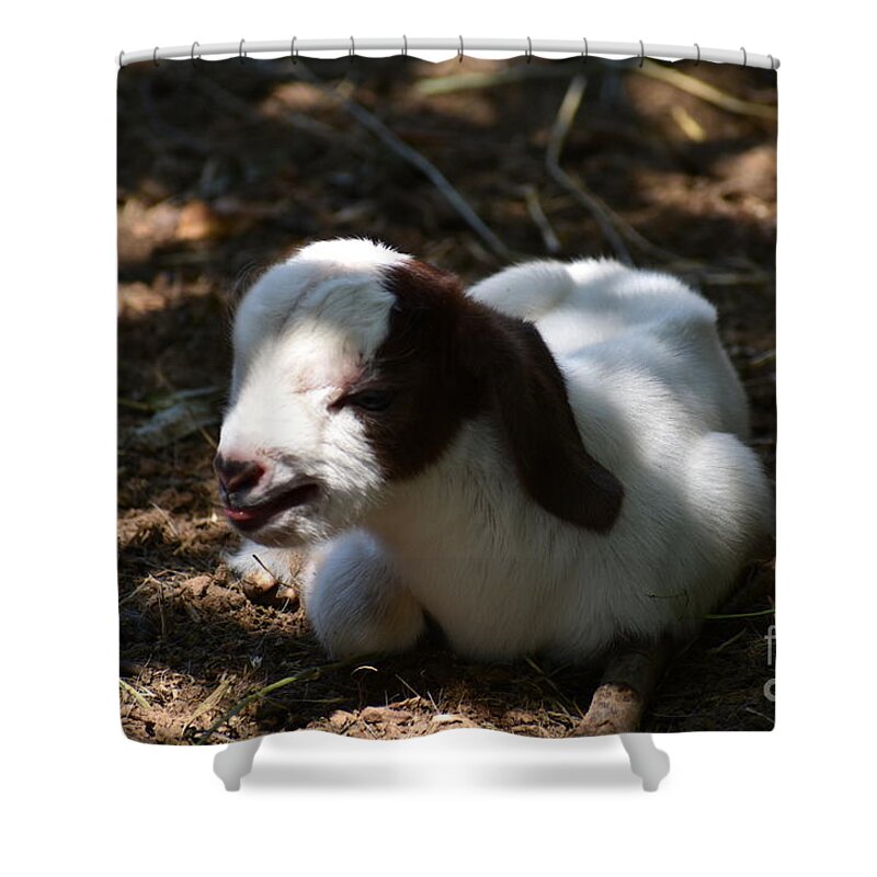 Baby Goat Shower Curtain featuring the digital art I won't get up by Yenni Harrison