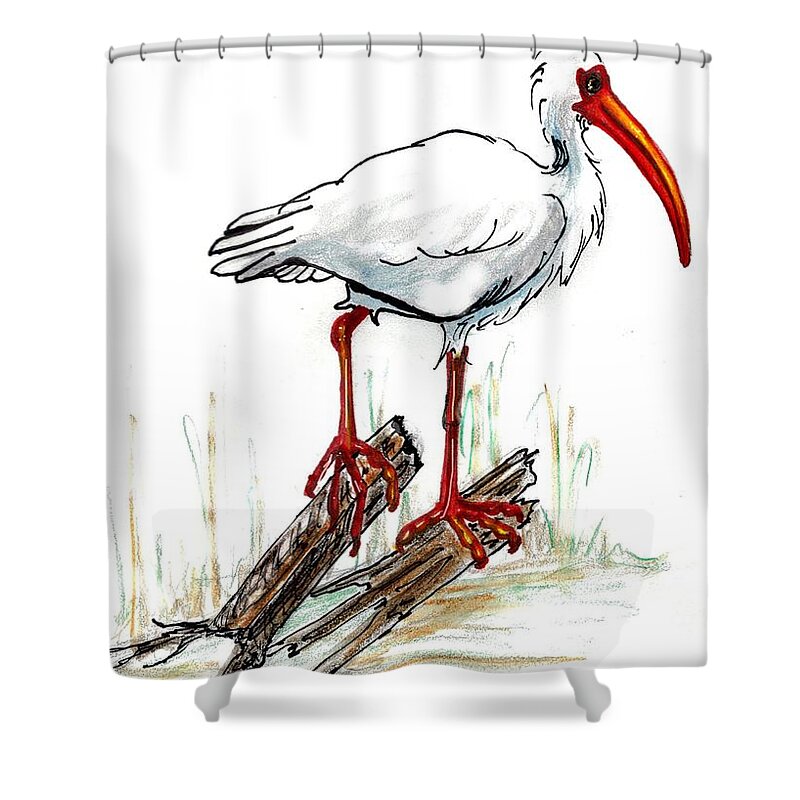 Ibis Shower Curtain featuring the drawing Ibis on a perch by Carol Allen Anfinsen