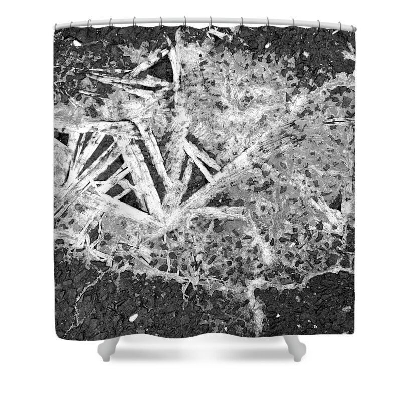  Shower Curtain featuring the photograph Ice Crystals on the driveway by Polly Castor