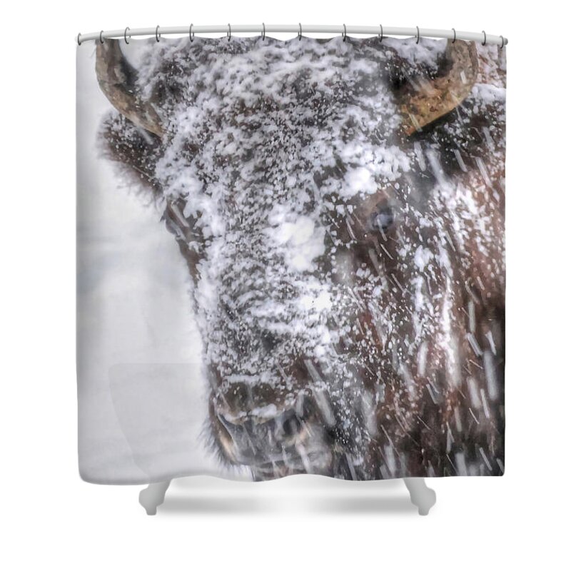 Yellowstone National Park Shower Curtain featuring the photograph Ice Faced by Don Mercer