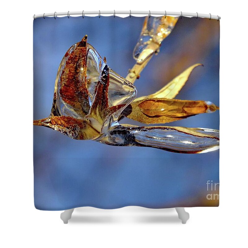 Ruby-throated Hummingbird Shower Curtain featuring the photograph Ice Hummingbird - Natures Sculpture by Cindy Treger