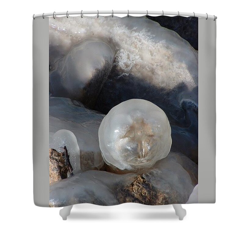 Ice Shower Curtain featuring the photograph Ice Sun by Annekathrin Hansen