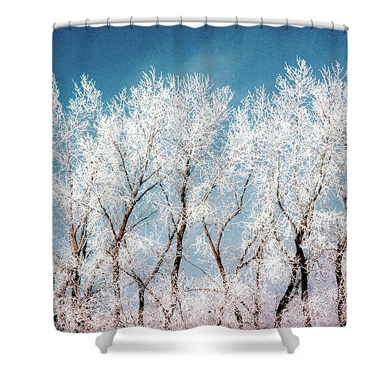 Ice Tree South Dakota Shower Curtain featuring the photograph Ice Trees by William Kimble