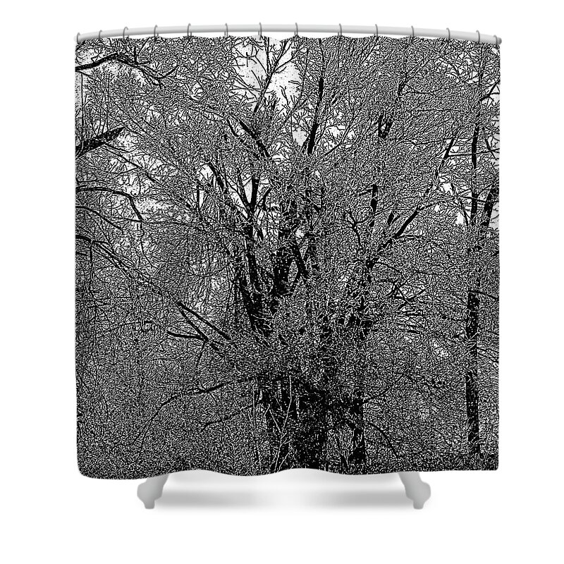 Ice Iced Tree Forest Limb Branch Cold Winter Hoarfrost Frost Outdoors Landscape Craig Walters A An The Art Artist Artistic Photo Photograph Photographic Shower Curtain featuring the digital art Iced Tree by Craig Walters