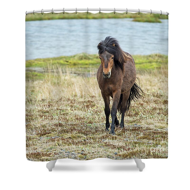 Festblues Shower Curtain featuring the photograph Icelandic Uniqueness.. by Nina Stavlund