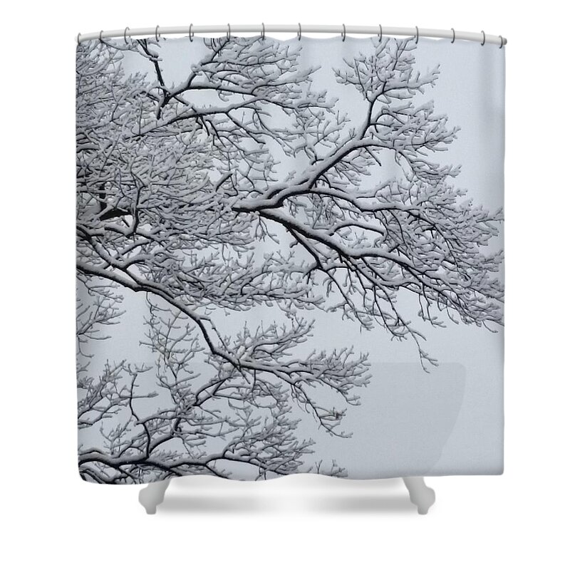 Ice Shower Curtain featuring the photograph Icey Winter Branch by Vic Ritchey
