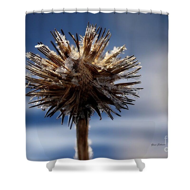 Nature Shower Curtain featuring the photograph Icicle flower by Yumi Johnson