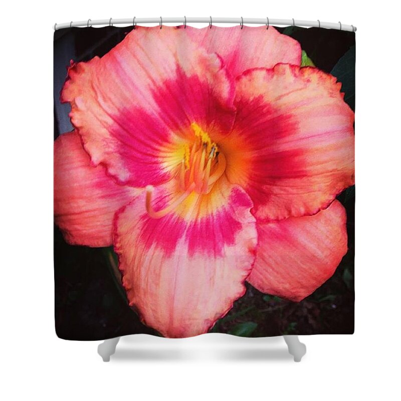Flower Shower Curtain featuring the photograph Blooming Garden by Kate Arsenault 