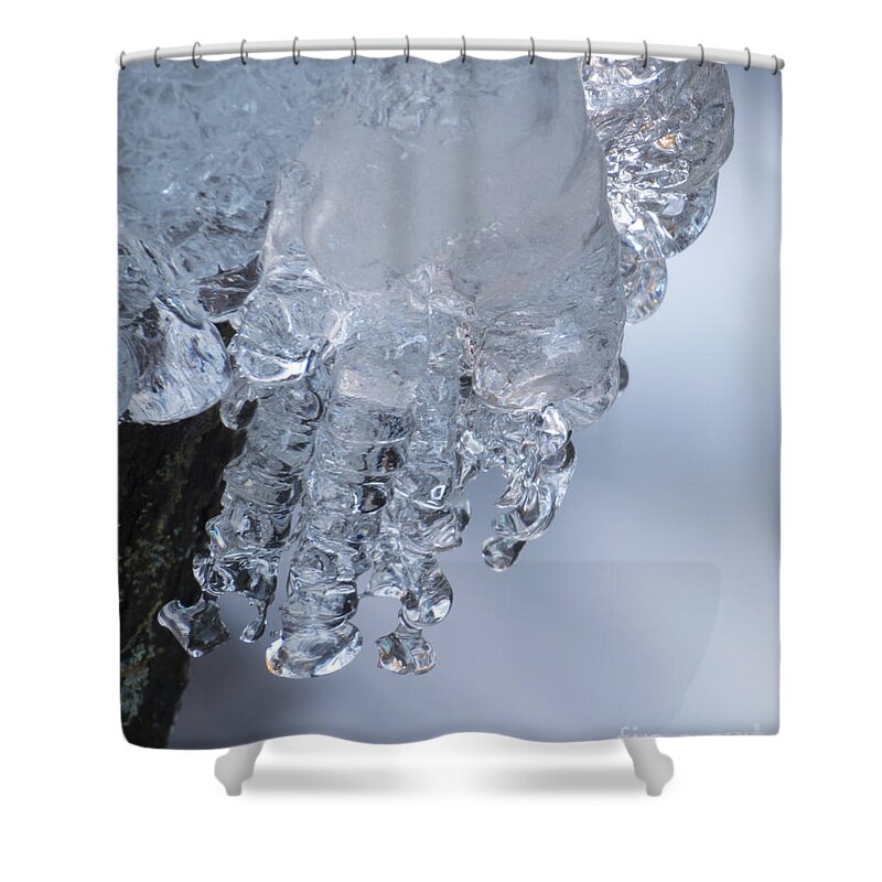Abstract Shower Curtain featuring the photograph Icy Hand by Lili Feinstein