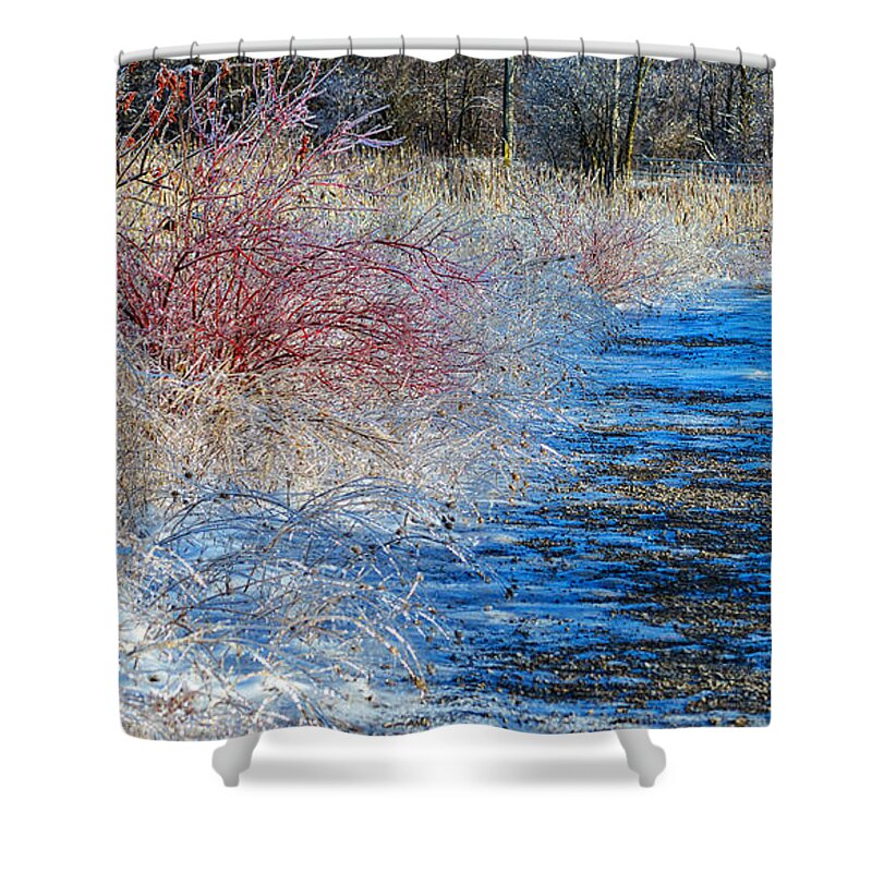 Freezing Shower Curtain featuring the photograph Icy Path by Les Palenik