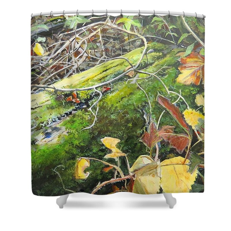 Woods Shower Curtain featuring the painting If There Were Fairies by William Brody
