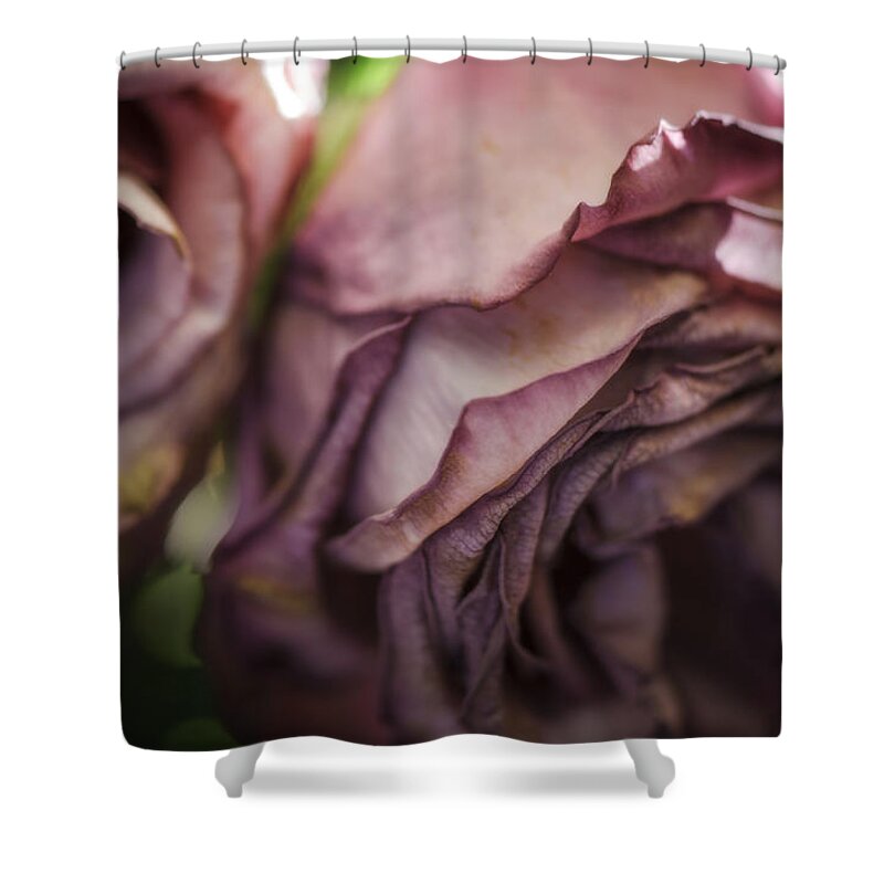 2015 Shower Curtain featuring the photograph If You Whisper Softly In My Ear by Sandra Parlow