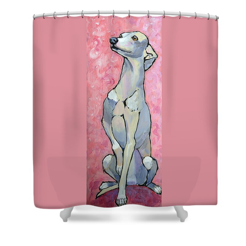 Italian Greyhound Shower Curtain featuring the painting Iggy on Pink by Ande Hall