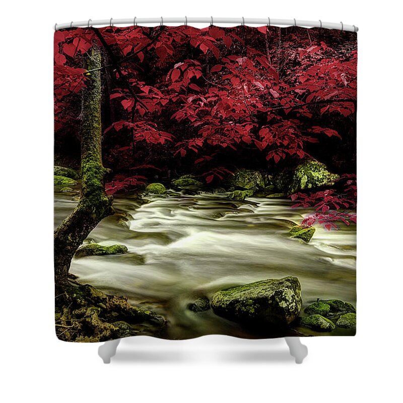 Tennessee Stream Shower Curtain featuring the photograph I'll Wait For Your Return by Mike Eingle