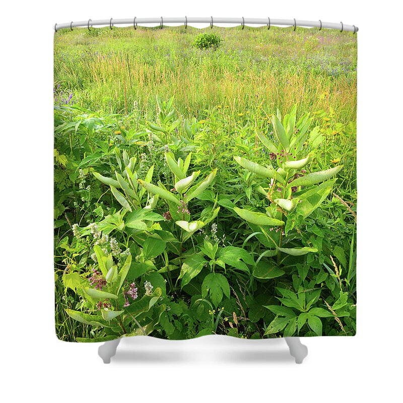 Black Eyed Susan Shower Curtain featuring the photograph Illinois Native Prairie by Ray Mathis