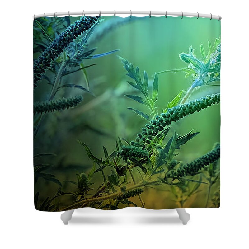 Illuminated Shower Curtain featuring the photograph Illumination by Theresa Campbell