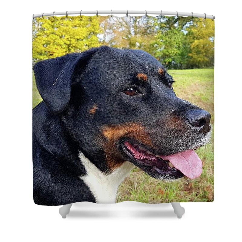 Bepresent Shower Curtain featuring the photograph Out In Autumn by Rowena Tutty