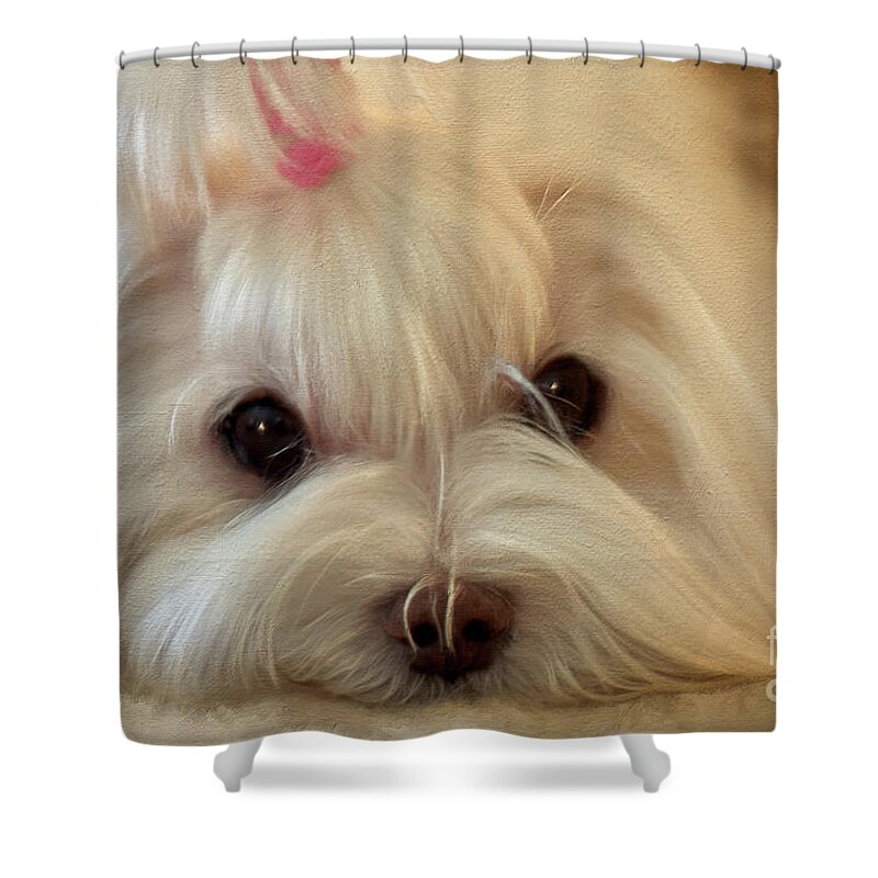 Maltese Shower Curtain featuring the digital art I'm Listening by Lois Bryan