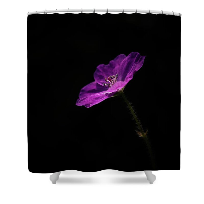 Flower Shower Curtain featuring the photograph I'm Pink by Peter Scott