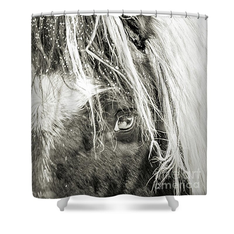 Horse Shower Curtain featuring the photograph I'm So Cold by Randy J Heath