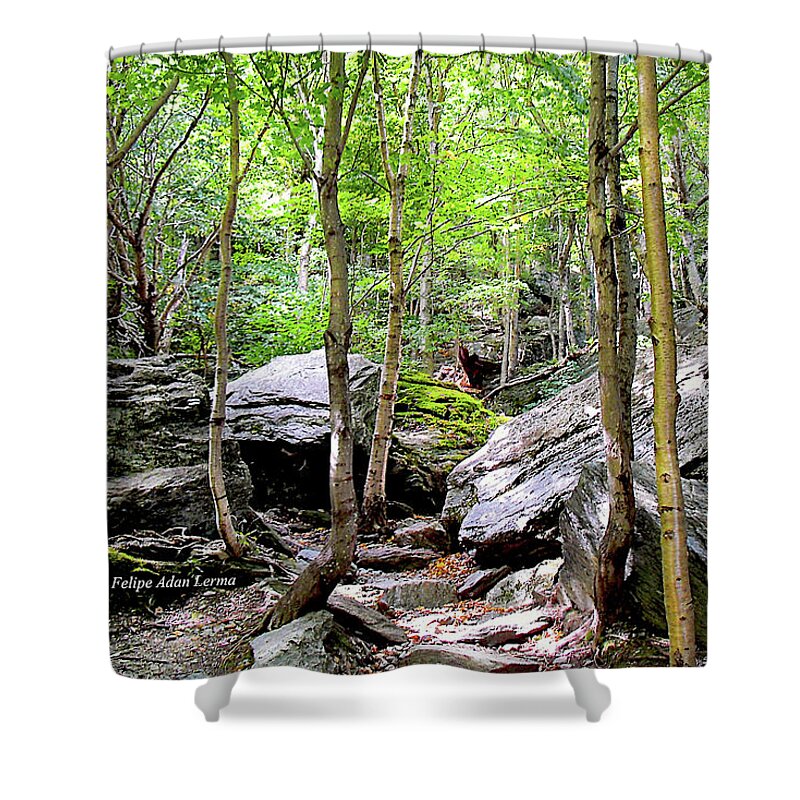 Novel Shower Curtain featuring the photograph Image Included in Queen the Novel - Rocks at Smugglers Notch Enhanced by Felipe Adan Lerma