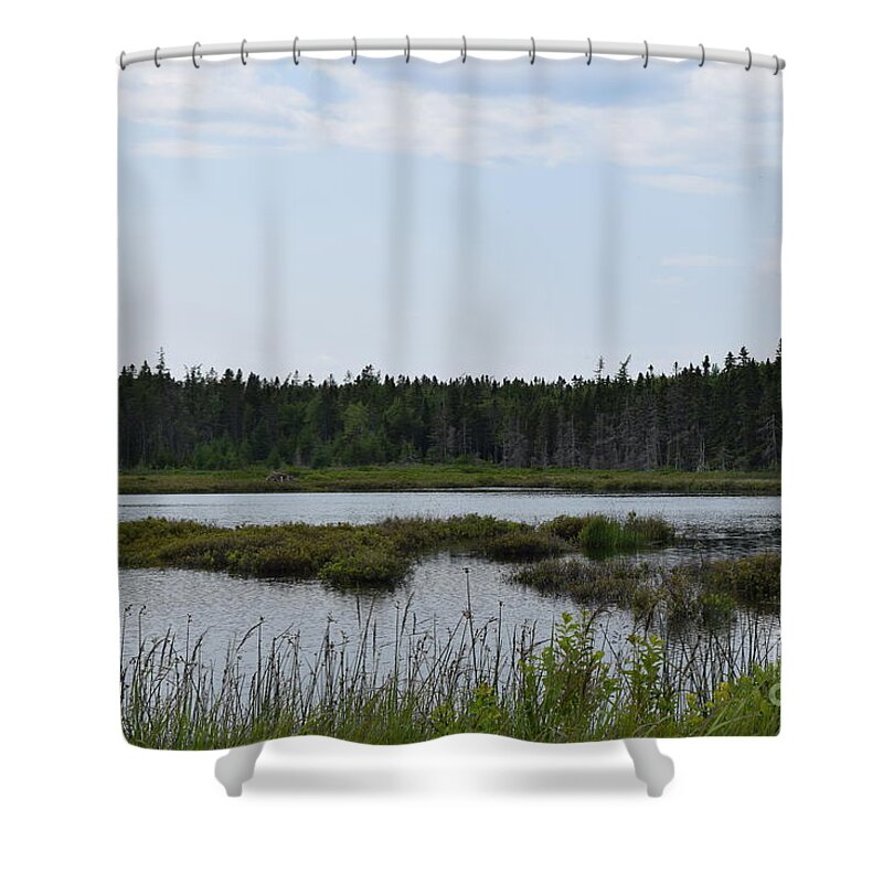 Landscape Shower Curtain featuring the photograph Images from Mt. Desert Island Maine 1 by Barrie Stark