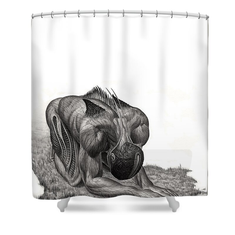 Pencil Shower Curtain featuring the drawing Impetus Graphite by Tony Koehl