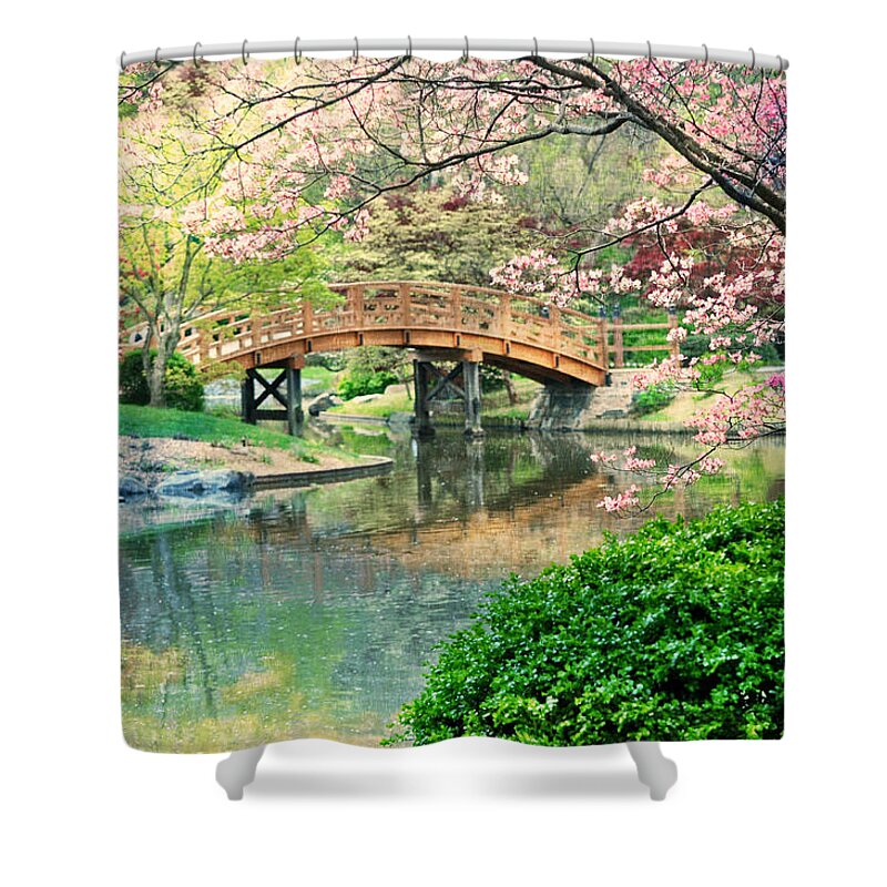 St. Louis Shower Curtain featuring the photograph Impressionistic Bridge by Marty Koch